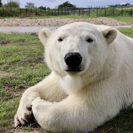Chic 2 Bed Peak District Cottage Barn Near Alton Towers, Polar Bears, Chatsworth House Лик Экстерьер фото